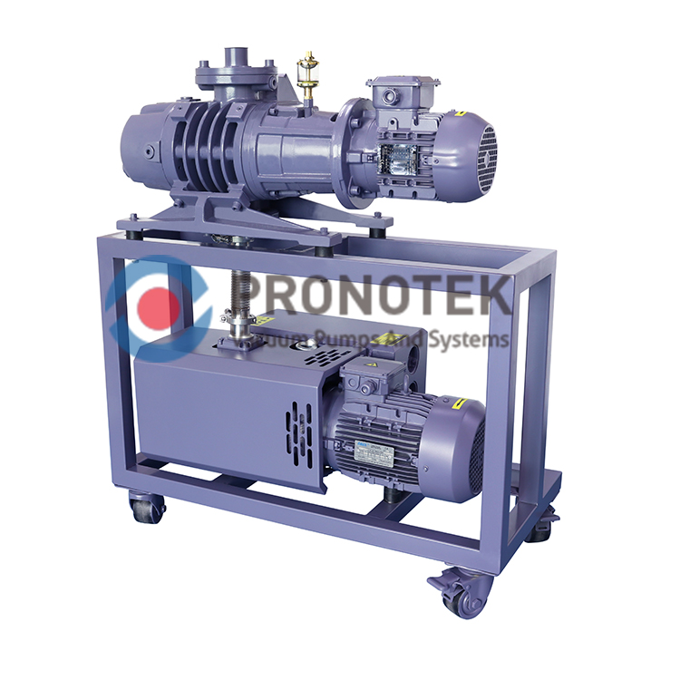 Pronotek PNK VS MR600-DP90 roots pump system